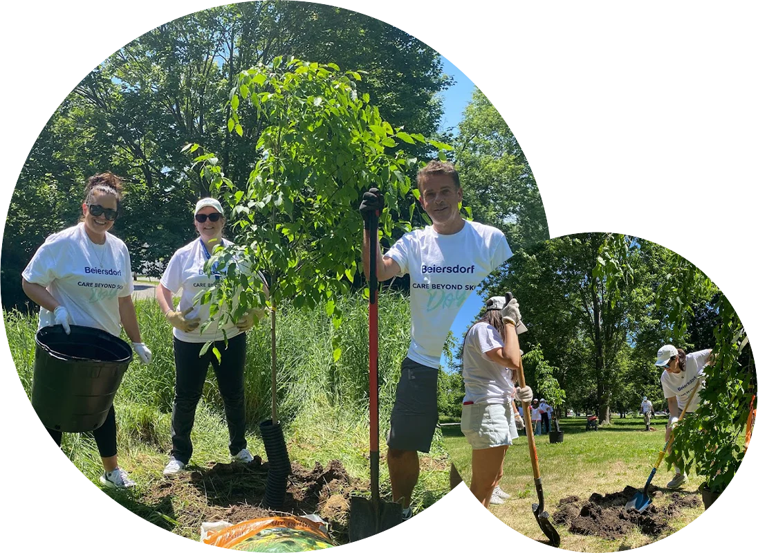 Employees in Canada planting trees (photo)