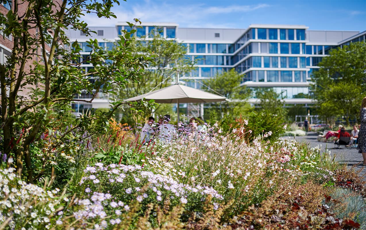 Campus Außenansicht und Garten (Foto)